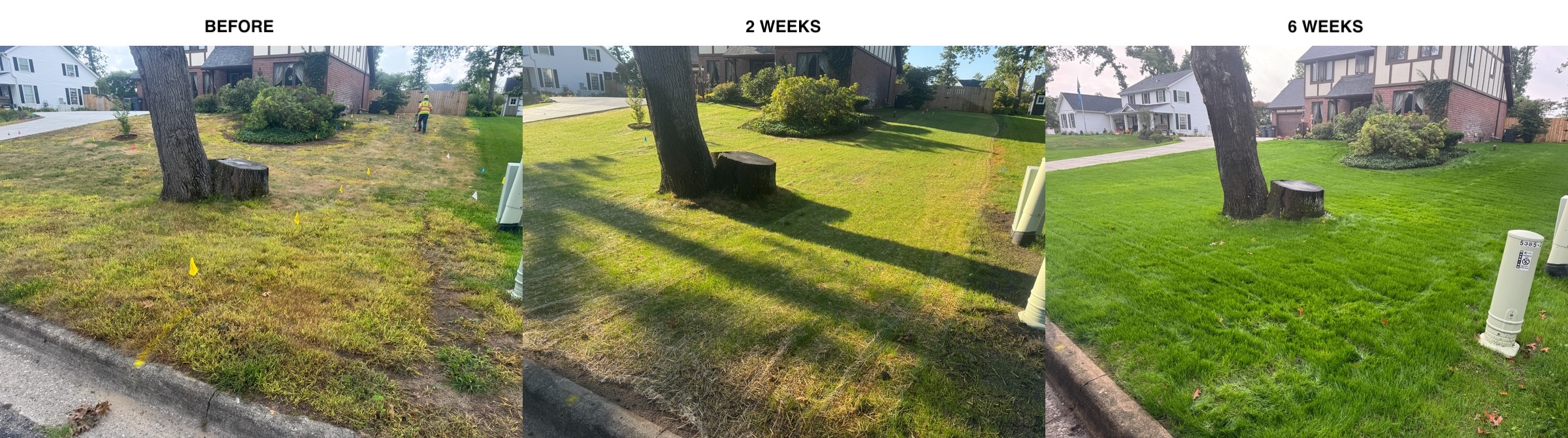 Lawn installation in progress