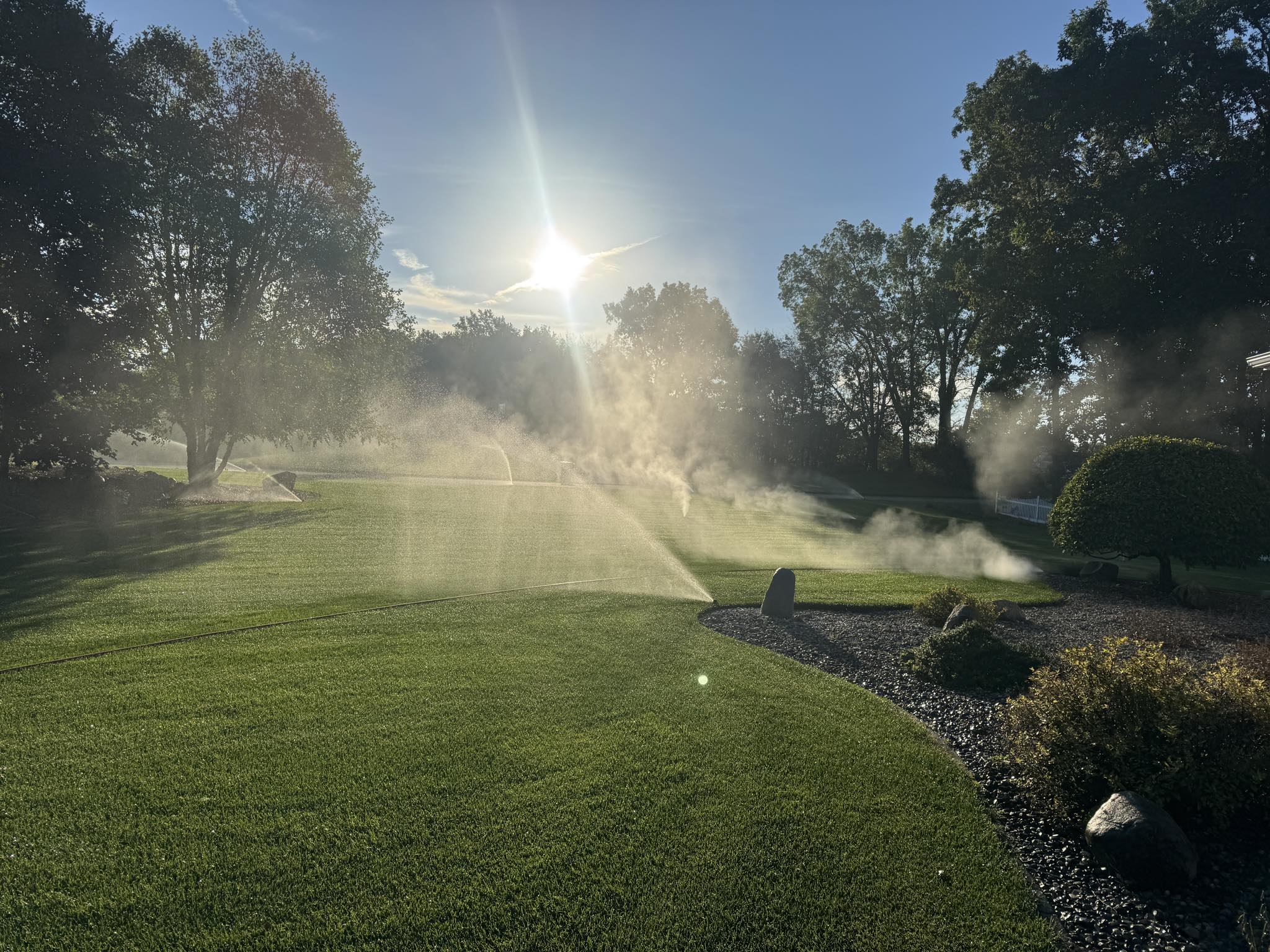 Professional lawn care and landscaping